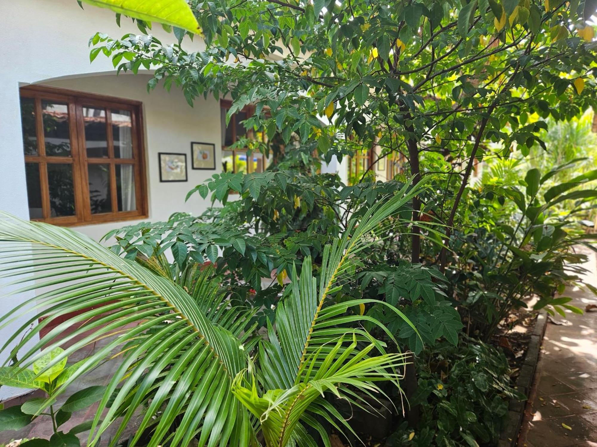 Las Peñitas Hotel Tranquilo מראה חיצוני תמונה